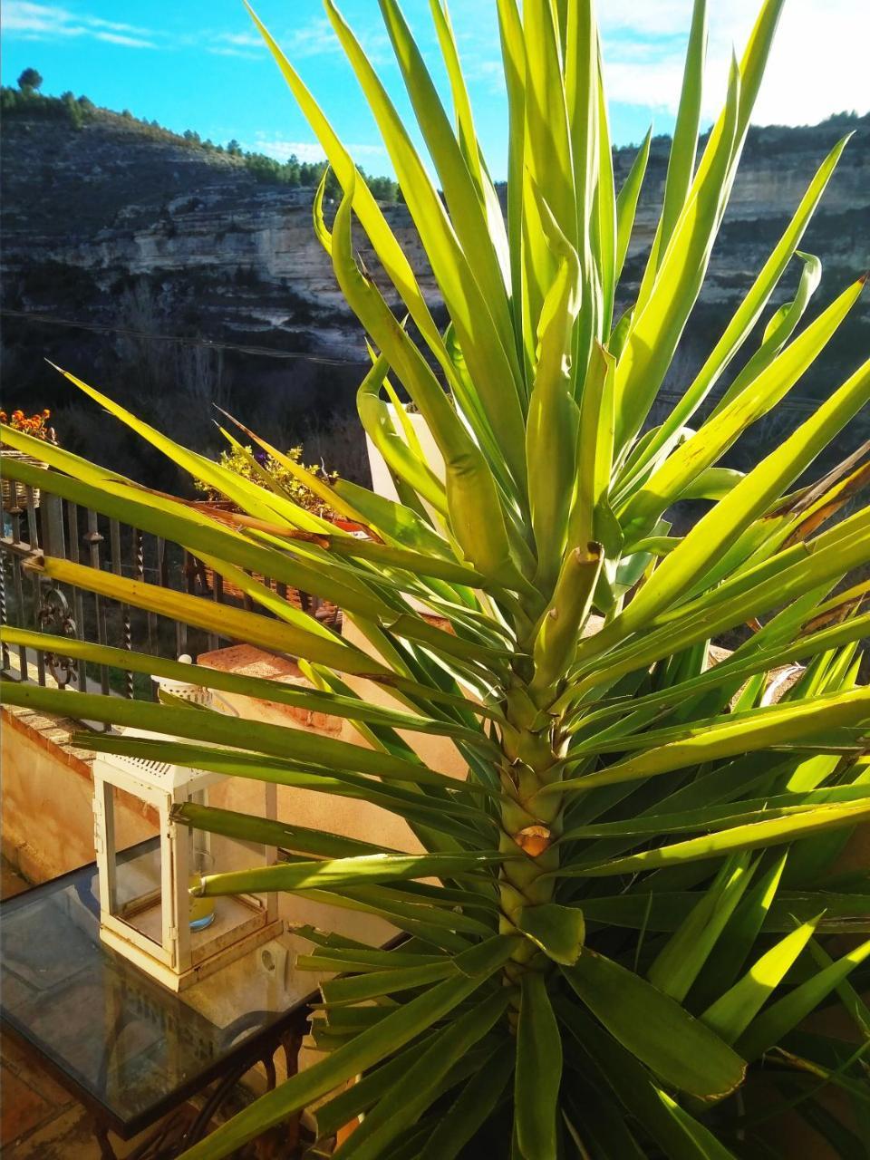Al-Axara Home Spa Cubas  Exterior foto